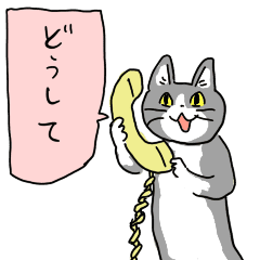 電話猫